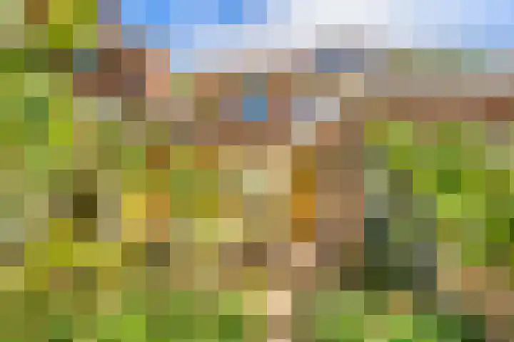 Romerkerkweg 107 Beverwijk thumbnail 29