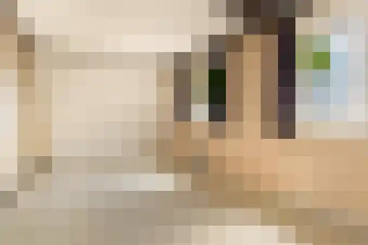 Romerkerkweg 107 Beverwijk thumbnail 39