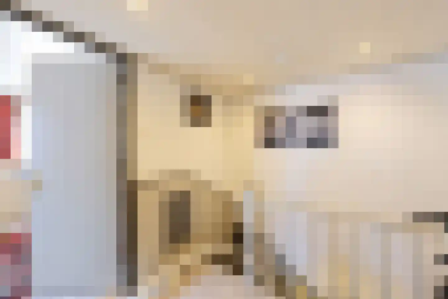 Romerkerkweg 12 Beverwijk thumbnail 20