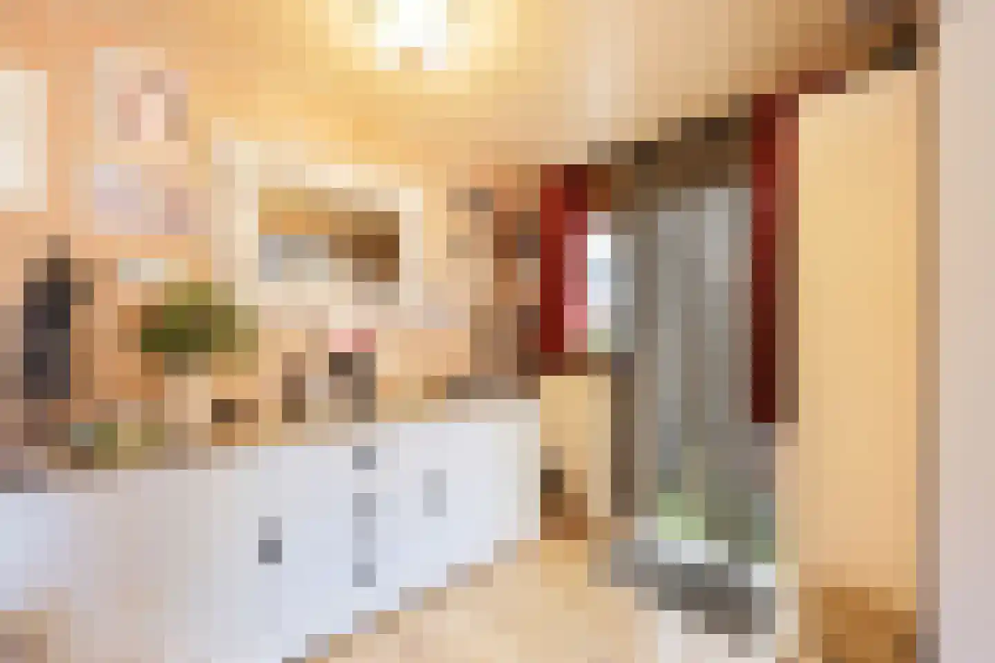 Romerkerkweg 12 Beverwijk thumbnail 8