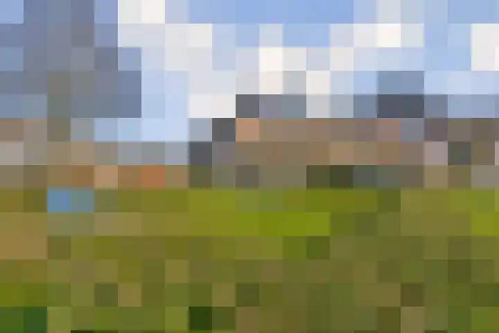 Romerkerkweg 14 Beverwijk thumbnail 23