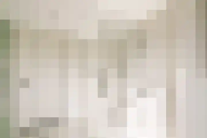 Romerkerkweg 14 Beverwijk thumbnail 7