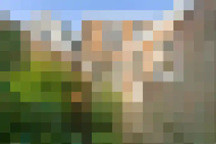 Romerkerkweg 14 Beverwijk thumbnail 9