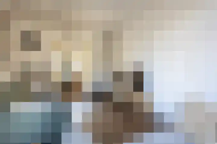 Romerkerkweg 27 Beverwijk thumbnail 10