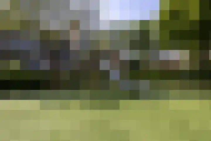 Romerkerkweg 27 Beverwijk thumbnail 59