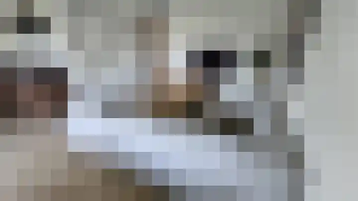 Romerkerkweg 8 Beverwijk thumbnail 8