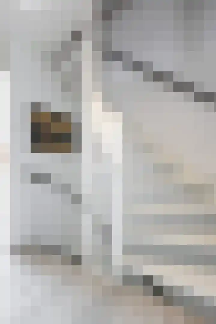 Romerohof 11 Eindhoven thumbnail 19