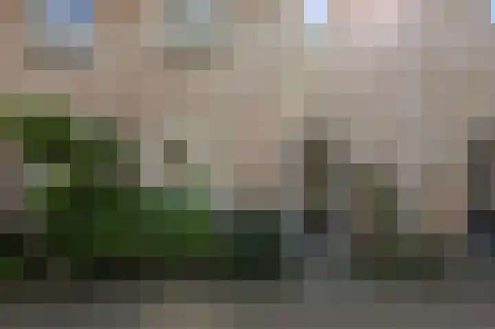 Romerohof 11 Eindhoven thumbnail 4