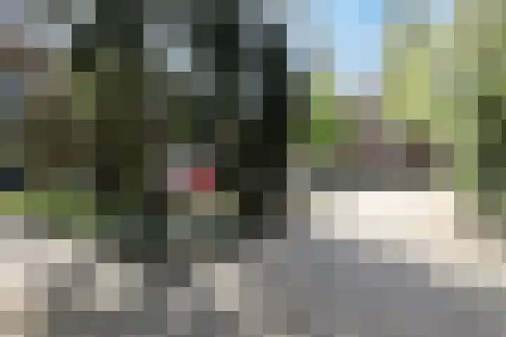 Romerohof 11 Eindhoven thumbnail 40