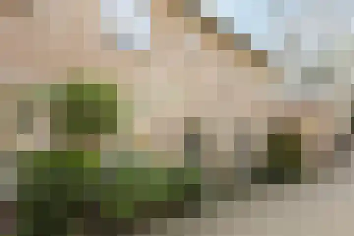 Romerohof 11 Eindhoven thumbnail 43