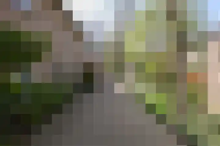 Romerohof 11 Eindhoven thumbnail 5