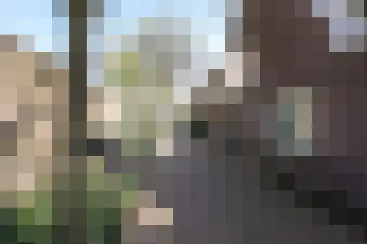 Romerohof 11 Eindhoven thumbnail 6