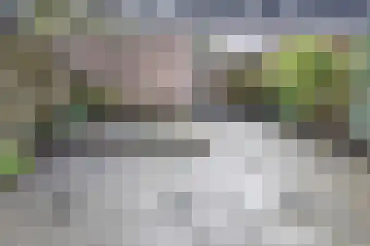 Romerostraat 10 Gouda thumbnail 6