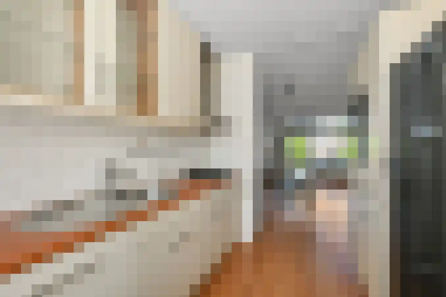 Romerostraat 38 Amsterdam thumbnail 6
