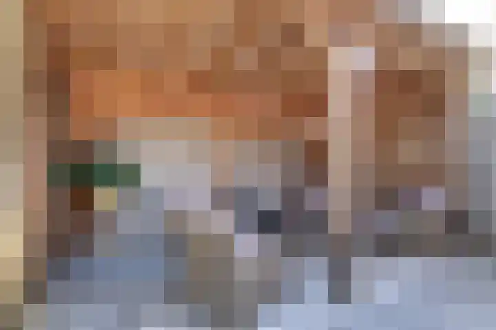Romerostraat 5 Gouda thumbnail 21