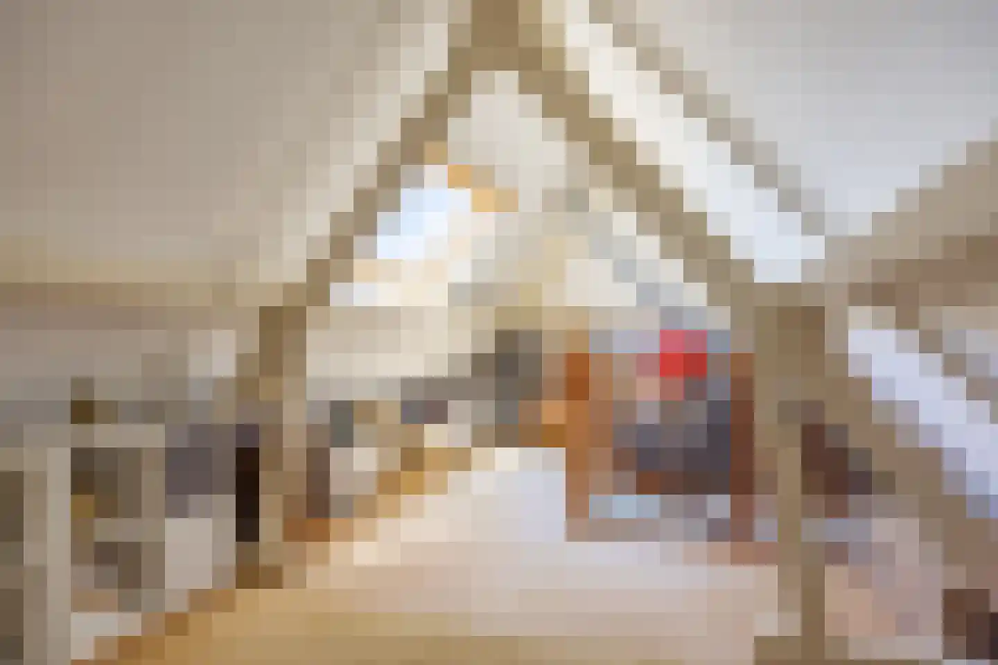 Romerostraat 8 Groningen thumbnail 45