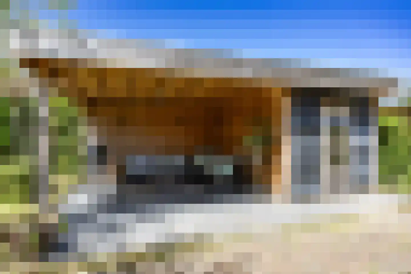 Romerostraat 8 Groningen thumbnail 51