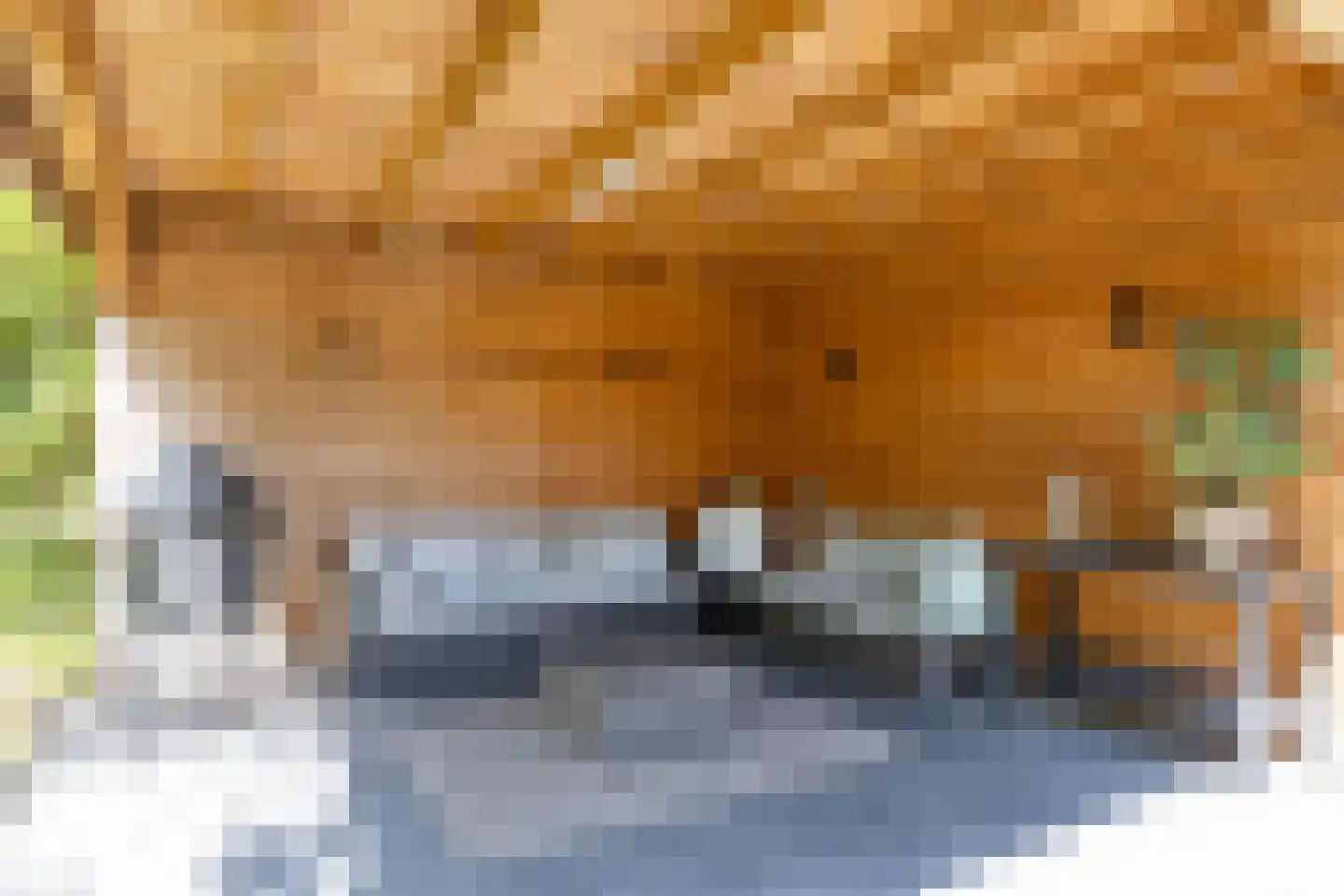 Romerostraat 8 Groningen thumbnail 52