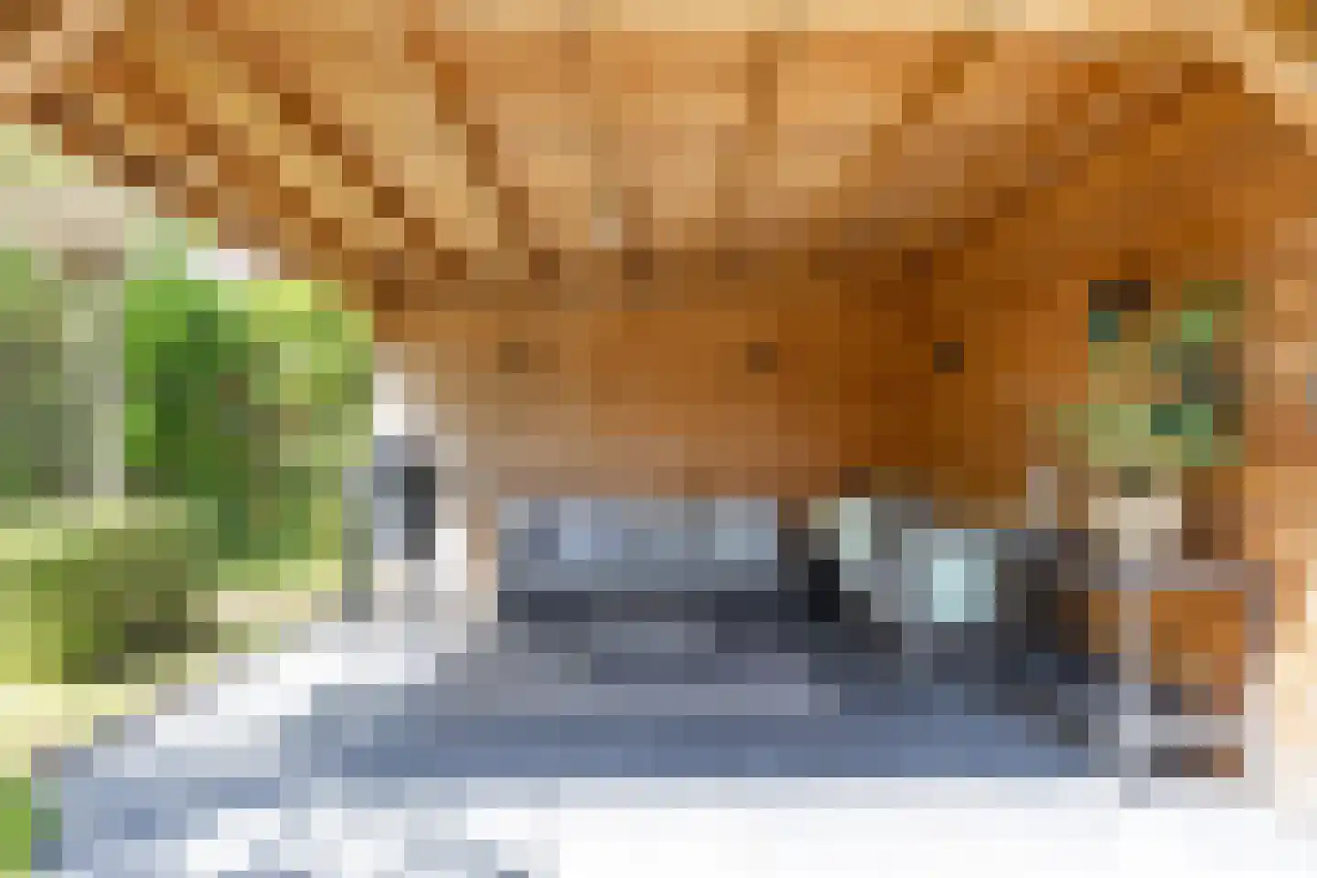 Romerostraat 8 Groningen thumbnail 53