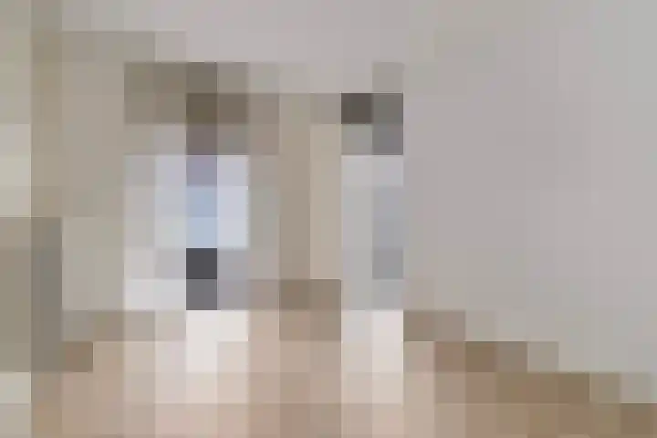 Romerstraat 34 Venlo thumbnail 5