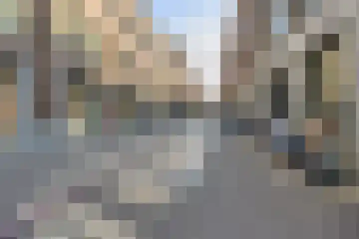Romerstraat 38 Venlo thumbnail 30