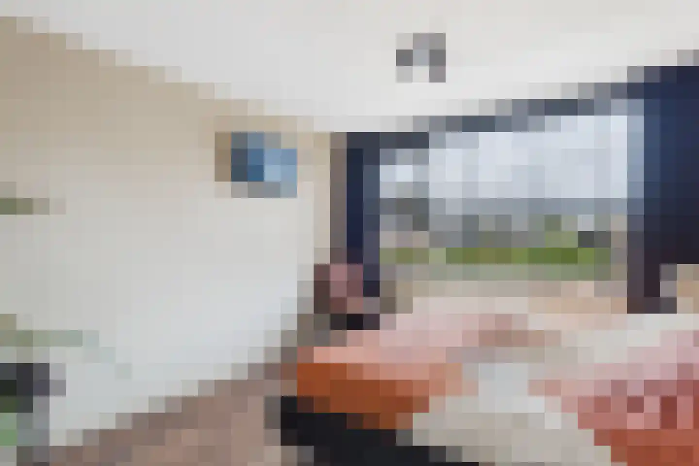 Romerswaalestraat 4 a Zuiddorpe thumbnail 16