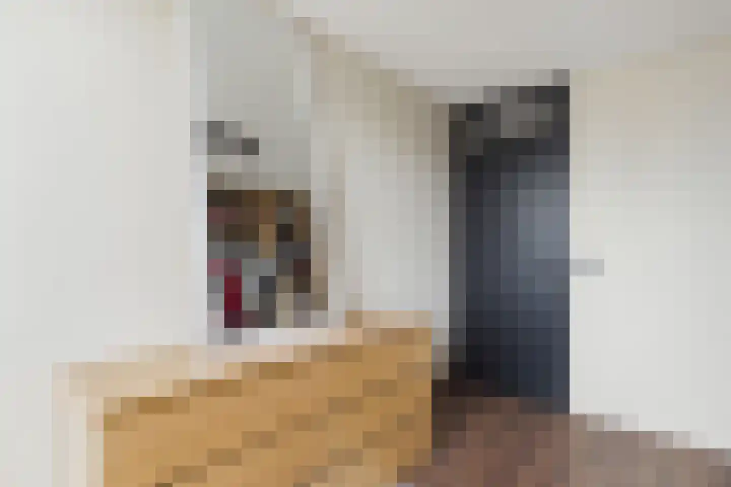 Romerswaalestraat 4 a Zuiddorpe thumbnail 18