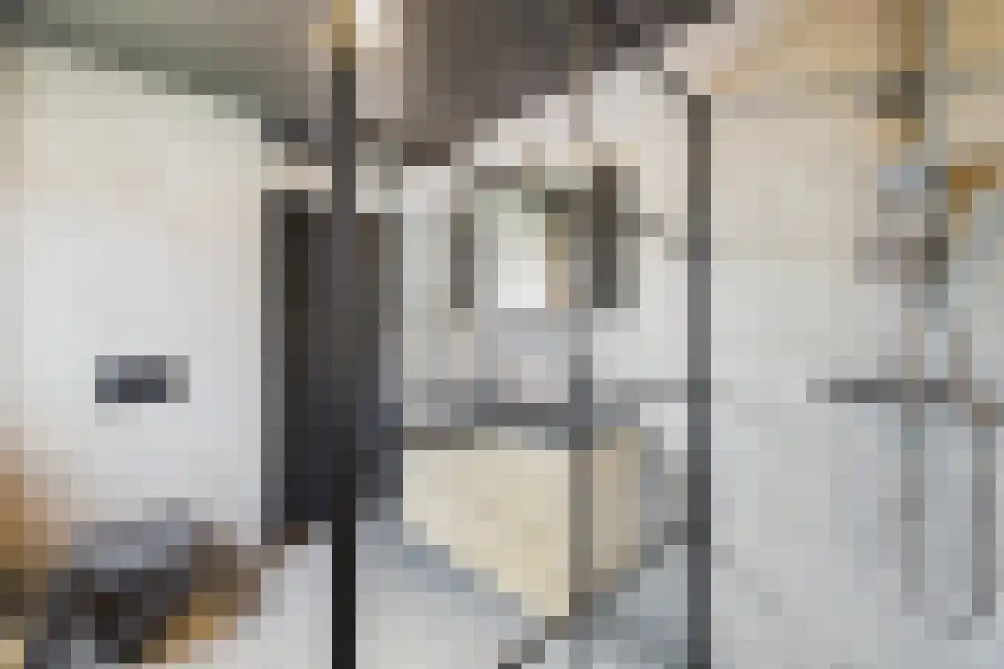 Romerswaalestraat 4 a Zuiddorpe thumbnail 22
