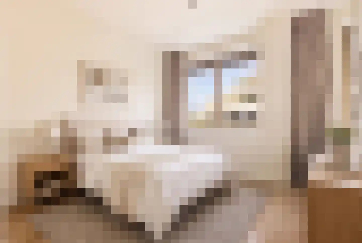 Romestraat 114 Utrecht thumbnail 14