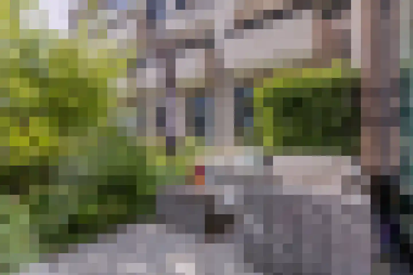 Romestraat 128 Utrecht thumbnail 4
