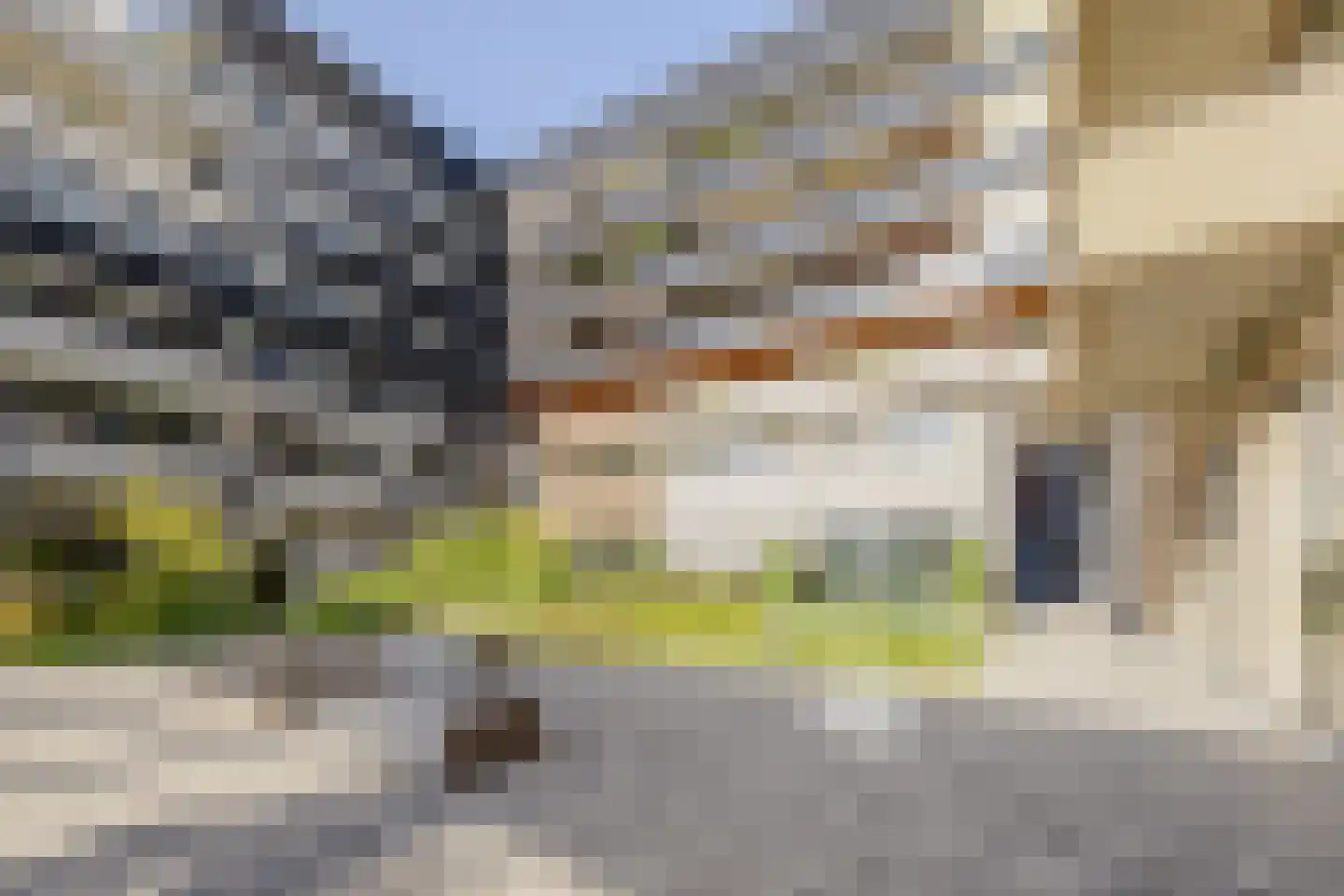 Romestraat 128 Utrecht thumbnail 45