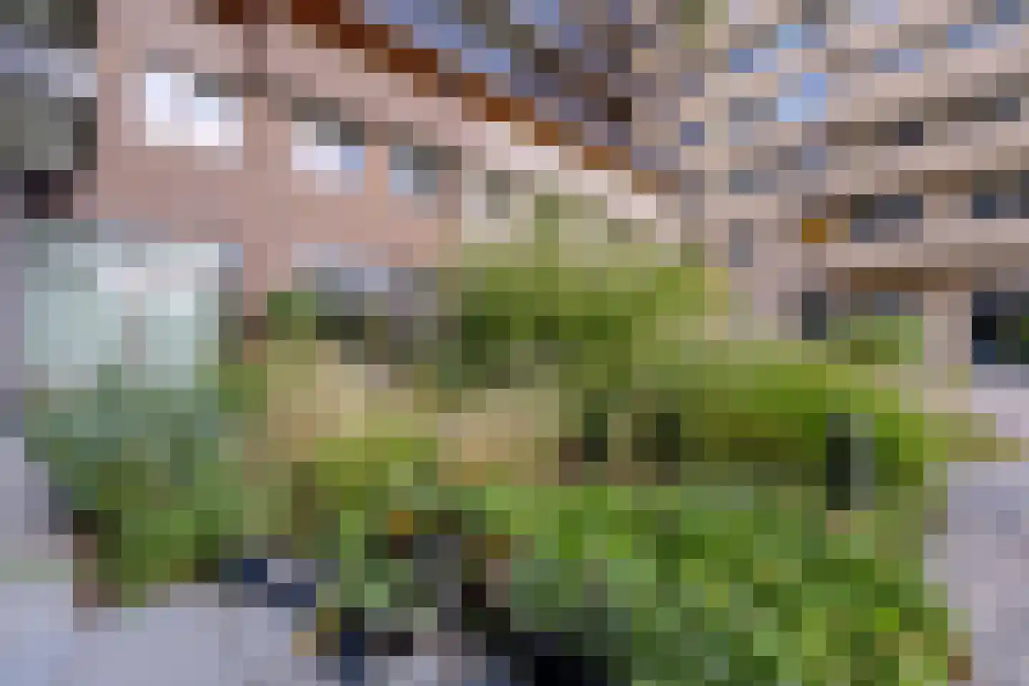 Romestraat 128 Utrecht thumbnail 47