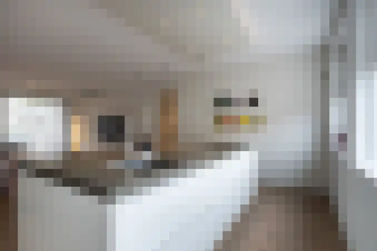 Romestraat 62 Utrecht thumbnail 9