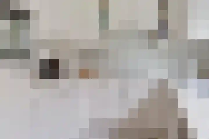 Romeweg 2 Eindhoven thumbnail 14
