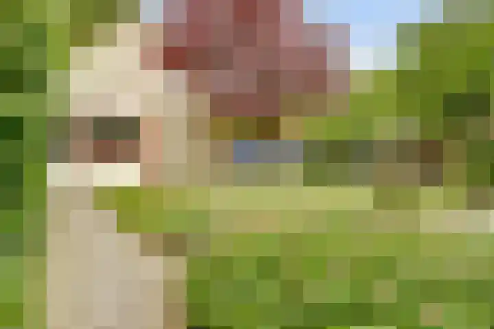 Romeweg 2 Eindhoven thumbnail 31