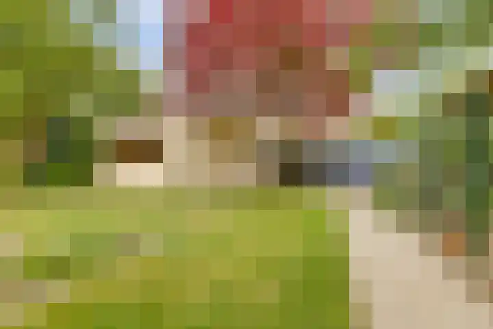 Romeweg 2 Eindhoven thumbnail 32
