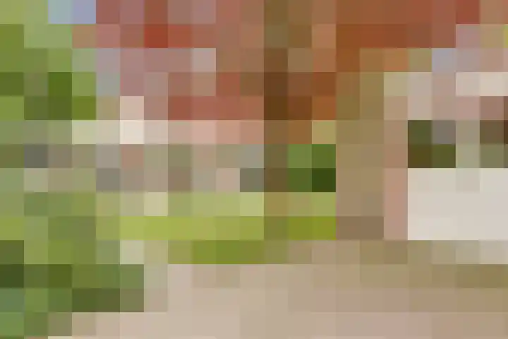 Romeweg 2 Eindhoven thumbnail 33