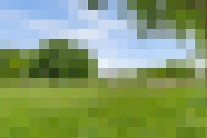 Romeweg 2 Eindhoven thumbnail 35