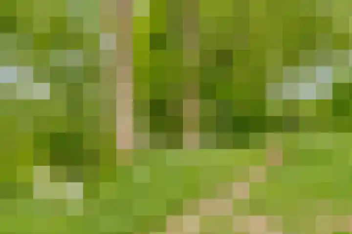 Romeweg 2 Eindhoven thumbnail 36