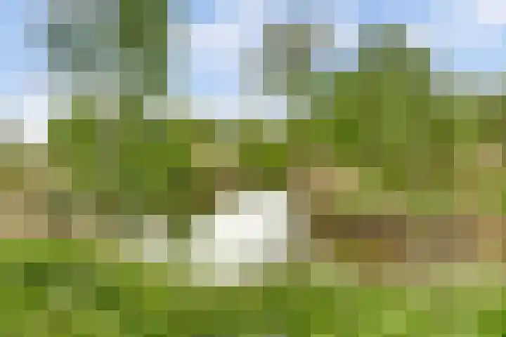 Romeweg 2 Eindhoven thumbnail 37