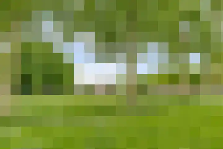Romeweg 2 Eindhoven thumbnail 38