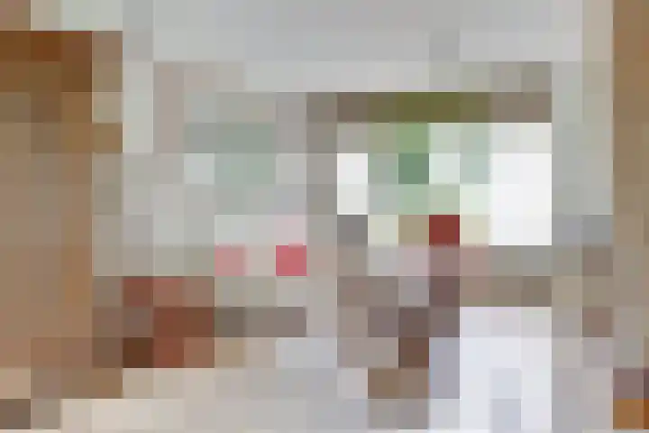 Romeweg 2 Eindhoven thumbnail 6