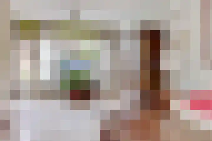 Romeweg 2 Eindhoven thumbnail 7
