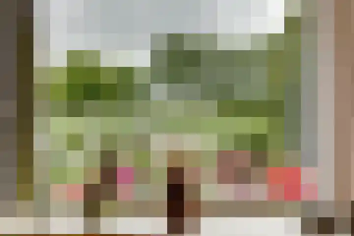 Romeweg 2 Eindhoven thumbnail 9