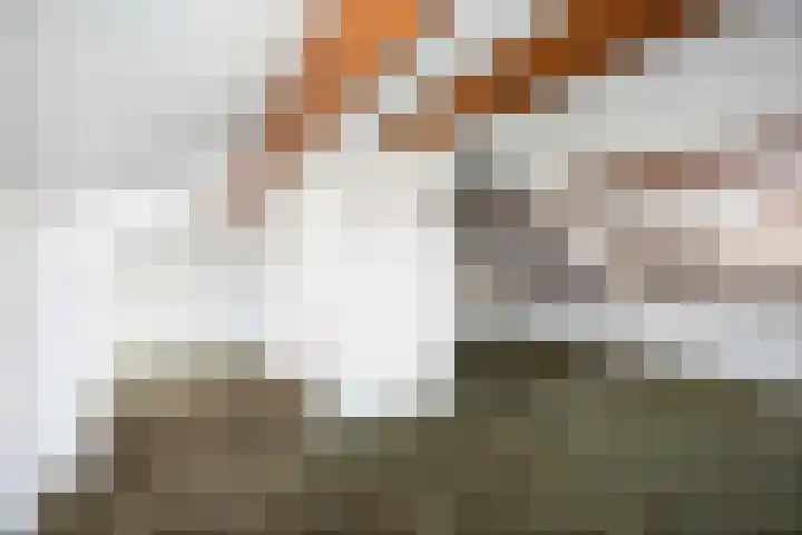 Romeyn de Hooghestraat 14 Deventer thumbnail 39