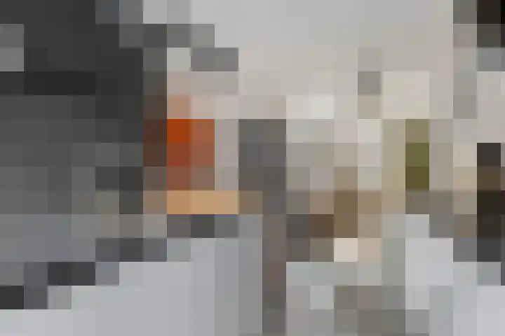 Romeyn de Hooghestraat 23 Deventer thumbnail 7