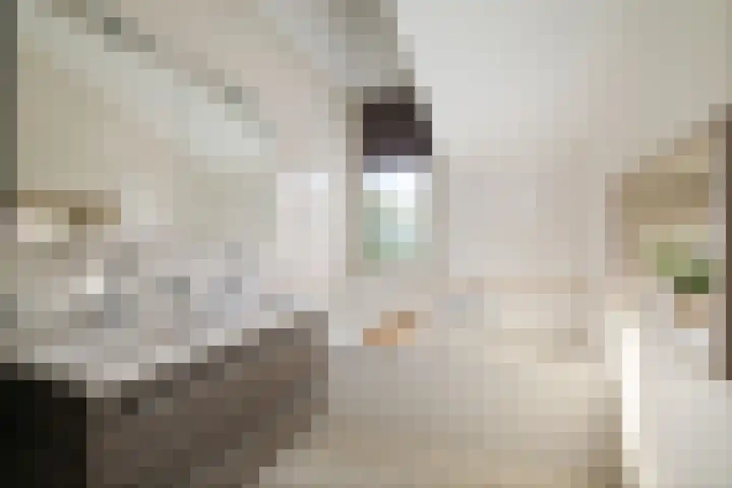Romeyn de Hooghestraat 43 Deventer thumbnail 23