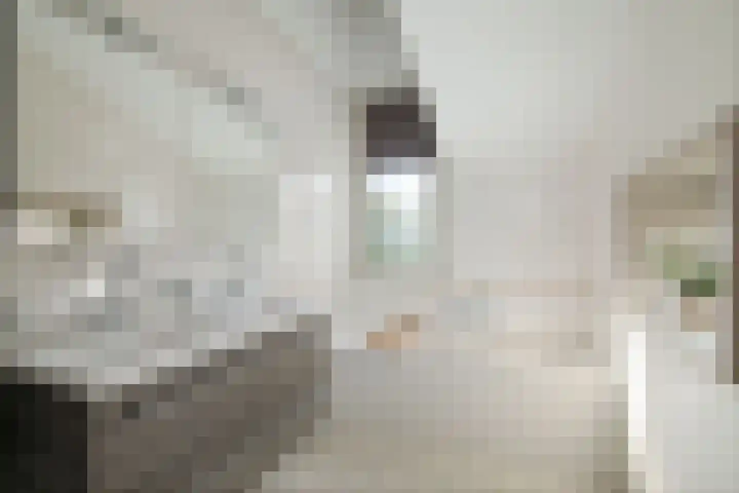 Romeyn de Hooghestraat 43 Deventer thumbnail 24