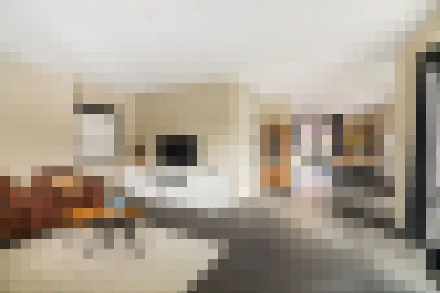Romeyn de Hooghestraat 43 Deventer thumbnail 5