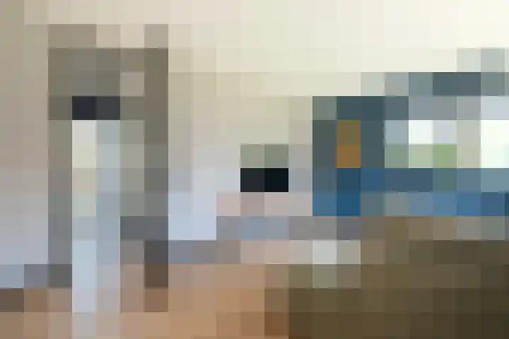 Romhof 33 Beilen thumbnail 4
